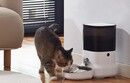Dogness Automatic Pet Feeder