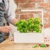 Click And Grow Smart Garden 3 Start Kit