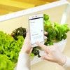 Click And Grow Smart Garden 9 Pro Start Kit