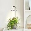Click and Grow x HydroVase