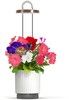 Click and Grow x HydroVase