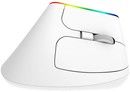 Delux M618C Wireless Vertical Mouse