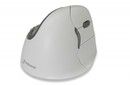 Evoluent Vertical Mouse 4 (Right Hand)