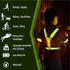 Lippa Reflective LED Vest