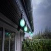 Lite Bulb Moments Smart Light Chain - Globe