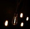 Lite Bulb Moments Smart Light Chain - Vintage Edison