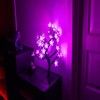 Lite Bulb Moments Smart Table Lamp - Cherry Tree