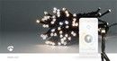 Nedis SmartLife Wifi Warm & Cold White String of Lights