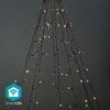 Nedis SmartLife Wifi Warm & Cold White Tree Lights 10 x 2m