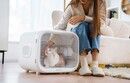 Petkit Airsalon Max Smart Pet Dryer