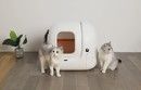 Petkit Pura Max Intelligent Self-Cleaning Cat Litter Box