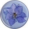 PopSockets PopGrip Pressed Flower Premium