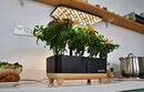 RainPoint Hydroponic Growing Kit