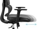 SandBerg Ergofusion Pro Gaming Chair