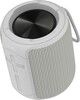 Streetz S300 Bluetooth Speaker  