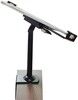 Trolsk Lockable Desk Mount (9,7"-13")