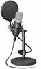 Trust GXT 252 Emita Streaming Microphone