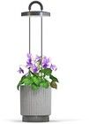 Click and Grow x HydroVase