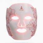 Fitpaddy FitMask LED Ansiktsmask