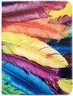 GreenGo Case Colour Feather (iPad)