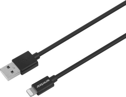 Essentials USB-A to Lightning Cable MFI