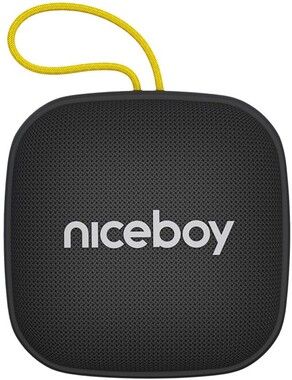 Niceboy Raze Mini 4 Bluetooth-hgtalare med FM-radio