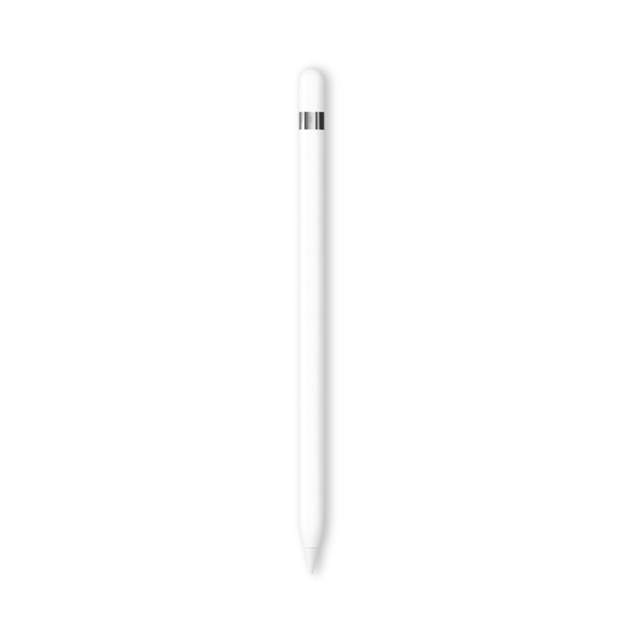 Apple Pencil (USB-C) | iPad - iPad Pro 11 (2022) - Stylus - pennor | AlltMobil