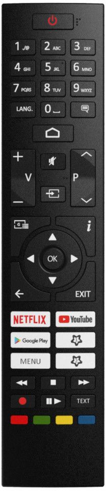 Champion Fjärrkontroll CH TV 43+55