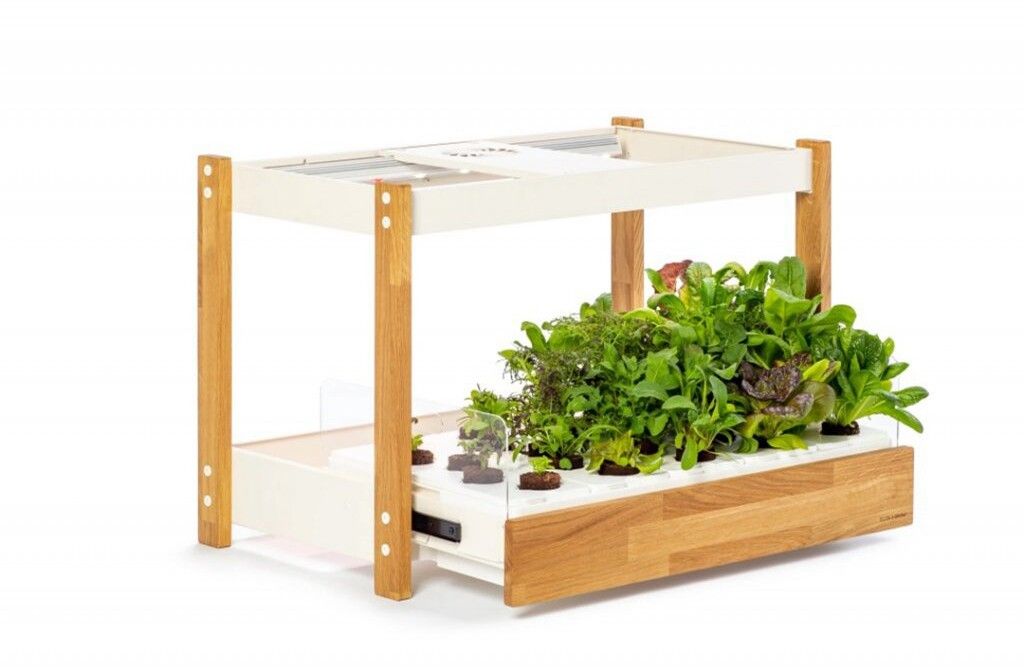 Click and Grow 25 - Svart