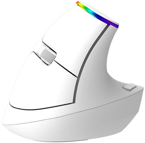 Delux M618C Wireless Vertical Mouse - Vit