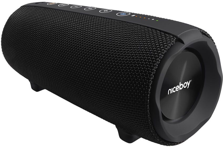 Niceboy Titan 4 Bluetooth Speaker & FM Radio