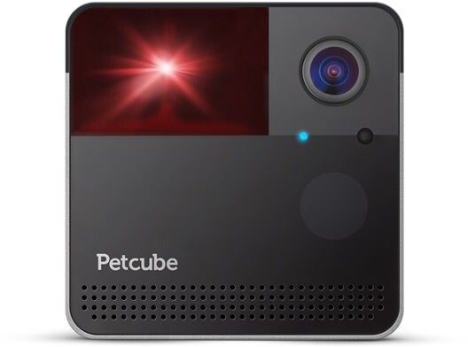 Petcube Play 2 | Tillbehör - Smarta hem - Husdjur - Tillbehör & övrigt | AlltMobil